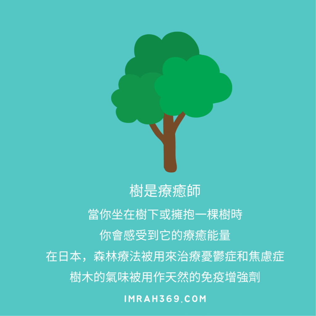 樹